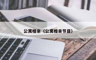 公寓相亲（公寓相亲节目）